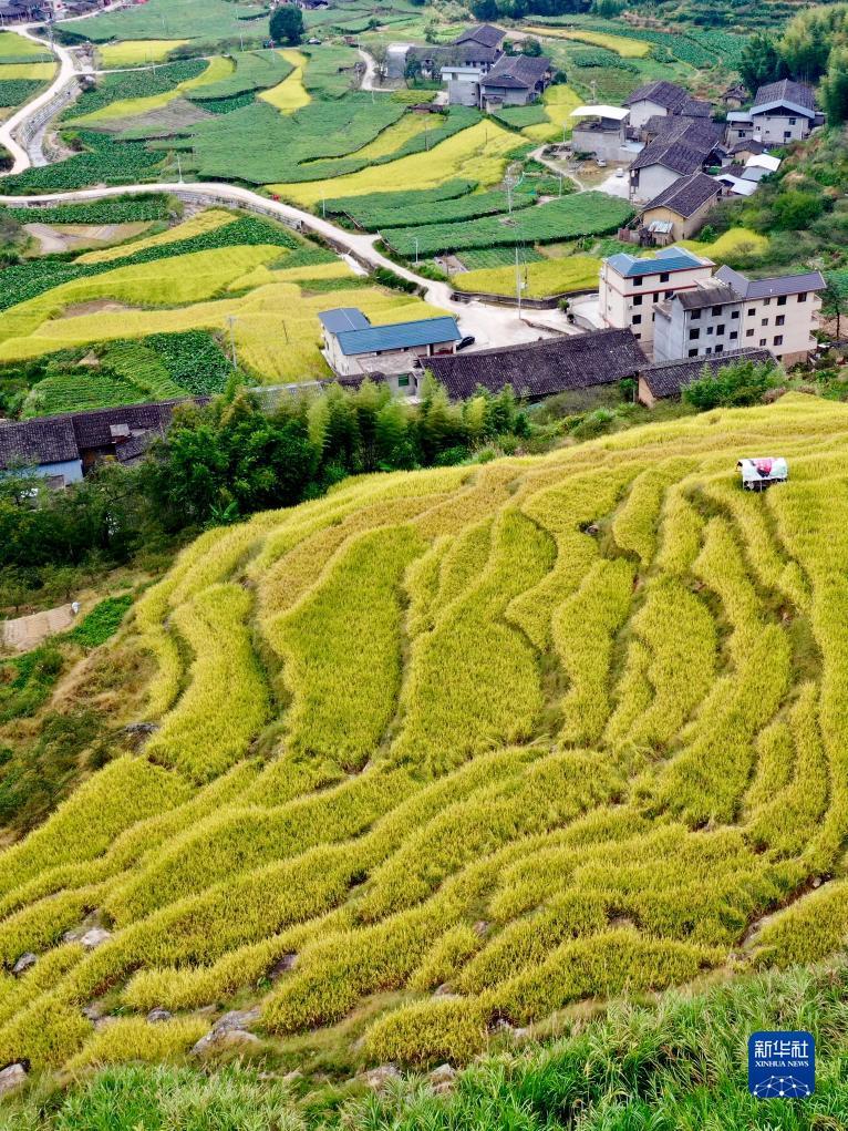 万能捕鱼干扰器